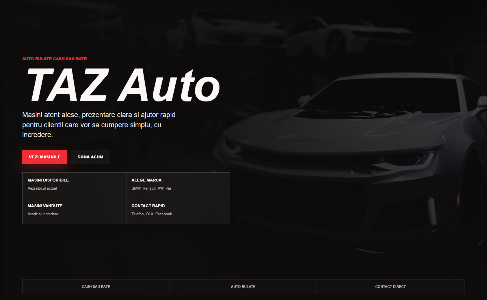 TAZ Auto website hero preview